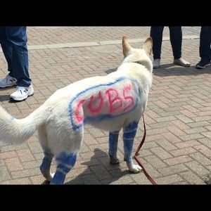 Meet your Posher, Lori